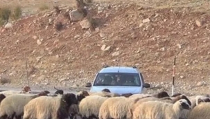 Karayazı Kaymakamlığı, o cezaya açıklama yaptı