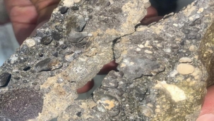 Göktaşı parçası Horasan Aliçeyrek Köyü'nde mi?