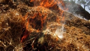 Tekman'da 12 bin balya kül oldu