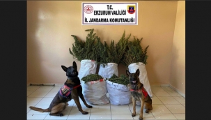 Uyuşturucu Tacirlerine Jandarma Engeli