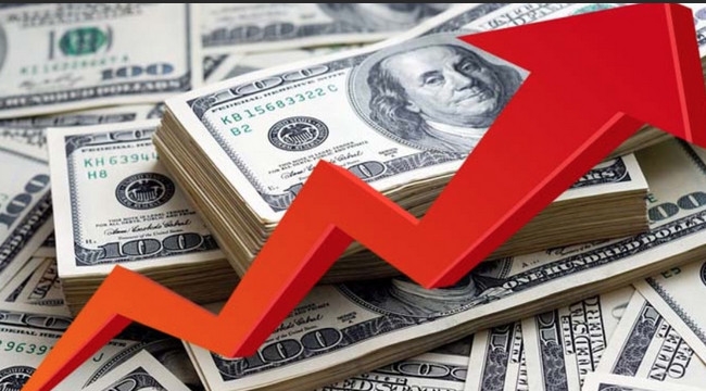 Döviz mevduatında 481 milyon dolar artış