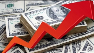 Döviz mevduatında 481 milyon dolar artış