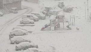 Erzurum'un bazı ilçelerinde okullar tatil