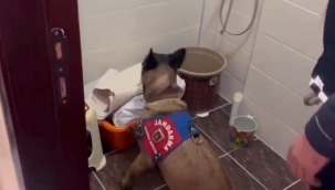 Erzurum'da Jandarma'dan uyuşturucu operasyonu