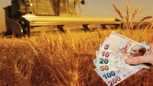 Tarımsal destekleme paraları bugün yatıyor