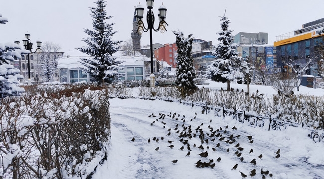 Kent merkezi kara büründü