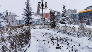 Kent merkezi kara büründü