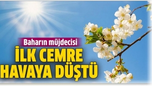 Bahar göründü...