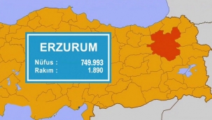 Erzurum'da nüfus azalmaya devam...
