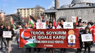 Sağlıkçıların Sessiz Yürüyüş'ü devam...