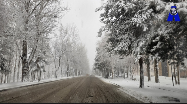 Erzurum'da yeniden kış