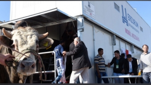 Kesim kayıt başvuruları başladı