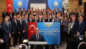 Sekmen, Enerji Kentler Birliği Başkanlığına seçildi