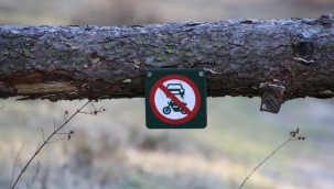 Ormanlara giriş yasağı