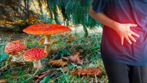 Erzurum'da mantar zehirlenmesi