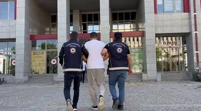 Otomobilin bagajından çıktı