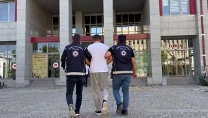 Otomobilin bagajından çıktı