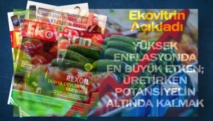 Yüksek enflasyonun sebebi...