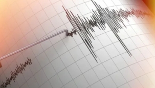 Muş ve Bingöl'deki depremler çevre illerden de hissedildi