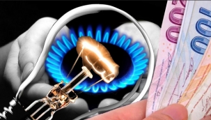 Gelire göre fiyat düzenlemesi...