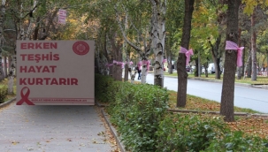 Atatürk Üniversitesi yerleşkesi pembeye büründü