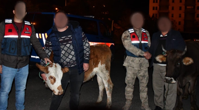 Horasan'da çalındı, Sarıkamış'ta yakalandı