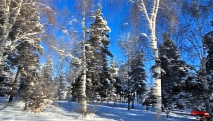 Atatürk Üniversitesi Yerleşkesinde Kar Sabahı