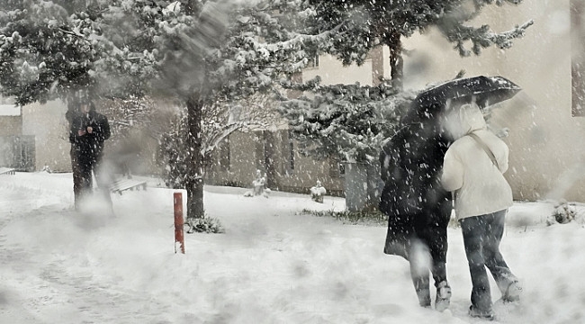 Erzurum'da okullar yarın da tatil