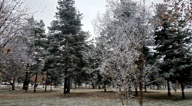 Erzurum'da sis ve kırağı