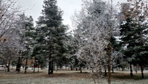 Erzurum'da sis ve kırağı