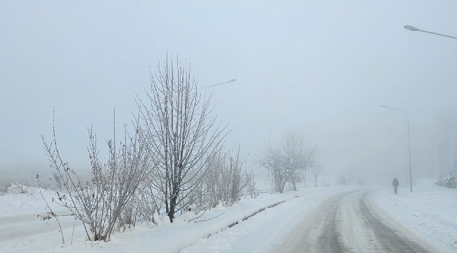 Erzurum'da sis ve soğuk hava etkili oldu