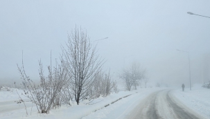 Erzurum'da sis ve soğuk hava etkili oldu