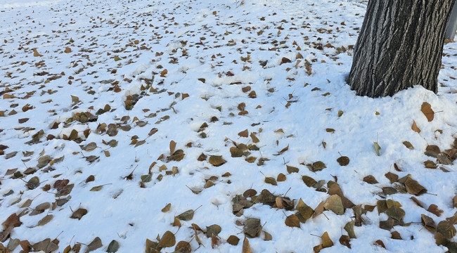 Meteoroloji uyardı; Hafta sonu görürsünüz...