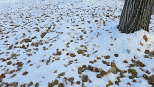 Meteoroloji uyardı; Hafta sonu görürsünüz... 