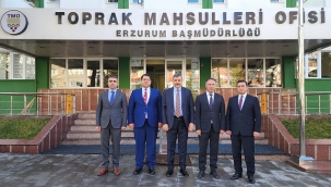 TMO, gıda arzının bir nevi sigortası...