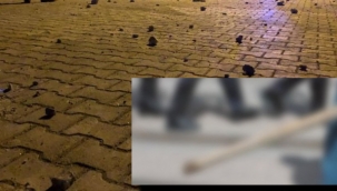 Güzelova'da kavga...