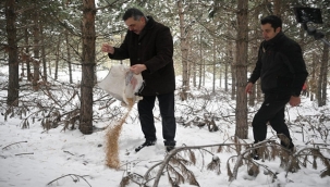 Vali'den öncü davranış...