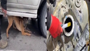 Akaryakıt deposuna zulalanmış...