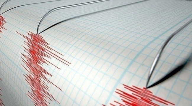 Erzurum'da 4.5 salladı...