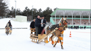 Erzurum'da geleneksel atlı kızak şöleni