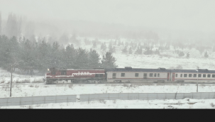 Erzurum'da sis ve soğuk hava...