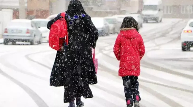 Erzurum'da kar tatili