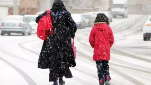 Erzurum'da kar tatili