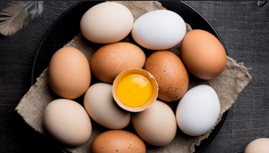 Yumurtanın sert yükselişine bakanlıktan önlem 