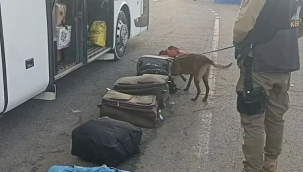 Bu kez 7 kilo 100 gram...