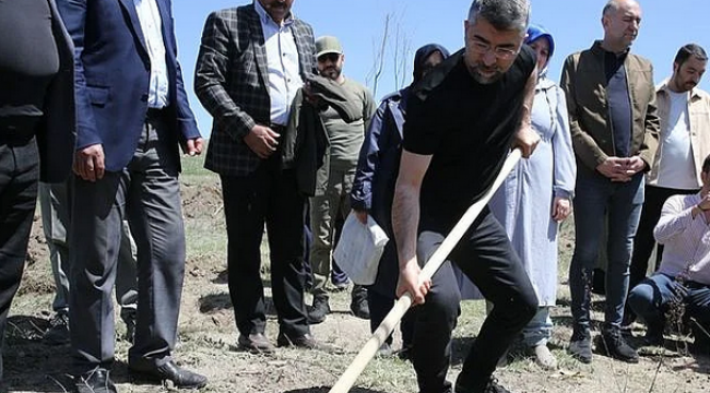AK Parti 20 ilçede fidan dikti