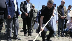 AK Parti 20 ilçede fidan dikti