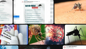 "Batı Nil Vürüsü"ne Bakanlık açıklaması