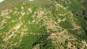 Ormanlık alanlara girişler 30 Ekim'e kadar yasak