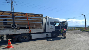 Erzurum'da 24 düzensiz göçmen